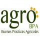 Asesorías bpa