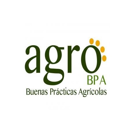 Asesorías bpa