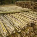 Insumos para Viticultura