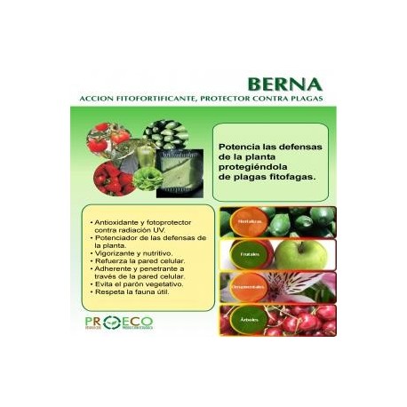 Berna Mezcla de extractos de plantas con acción fitofortificante y Protector contra plagas