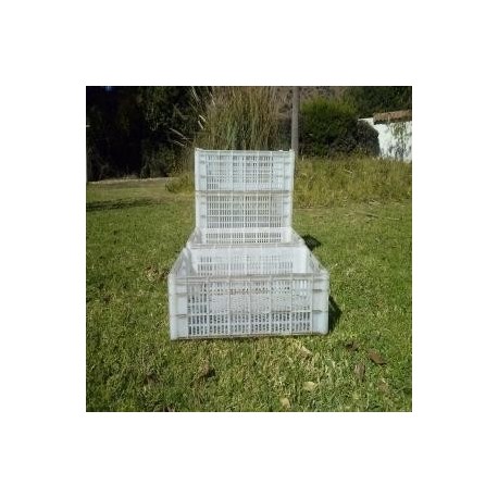 Cajas plástico exportación