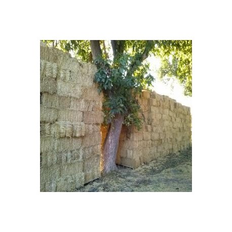 Fardos de paja (trigo)