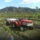 Arriendo de mini tractores
