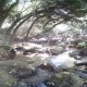 VENDO BOSQUE NATIVO