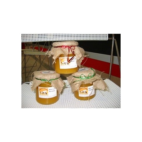 Miel Con Sabores