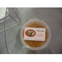 Polen