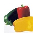 Pimiento