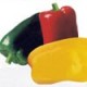 Semillas Pimiento Lamuyo