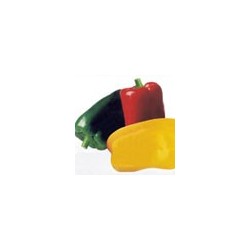 Semillas pimiento blocky...