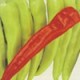 Semillas de Aji Nour