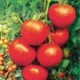 Semillas Tomate Amely
