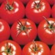 Semillas Tomate Pietro