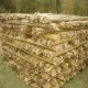 VENTA DE COLIGUES