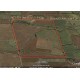 Vendo Campo 36 hectareas Teno, Maule