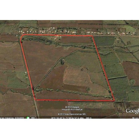 Vendo Campo 36 hectareas Teno, Maule