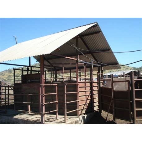 BALANZA GANADERA COMPLETA 3.000 KG