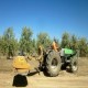 Parcela Productiva