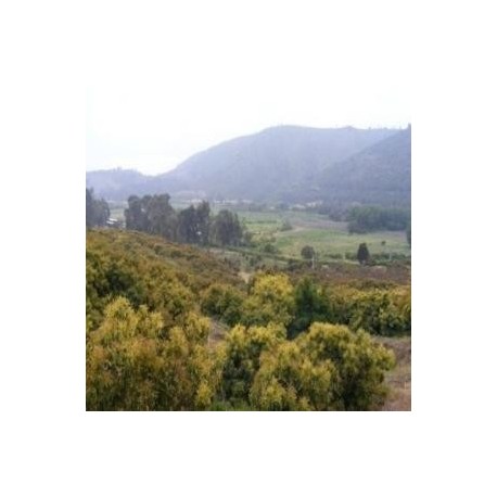 Predio Agrícola en Laguna Verde