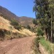 VENTA DE PARCELA EN SECTOR EL ROTO CHILENO CALERA DE TANGO