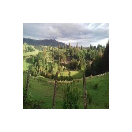 Venta de campo sector Mashue