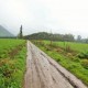 TERRENO 17,3HÁ AGROINDUSTRIALES