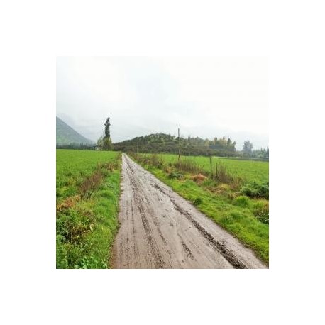 TERRENO 17,3HÁ AGROINDUSTRIALES