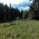 CAMPO CAMINO TOLHUACA