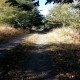 Parcela Freire Villarica
