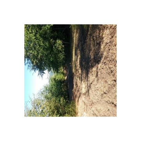 Se Vende Campo