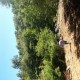 Se Vende Campo