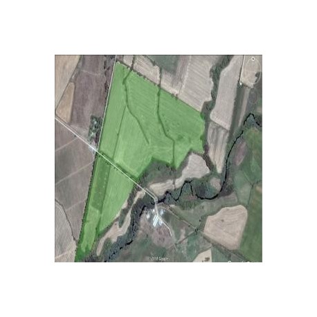 Parcela agrícola San Luis