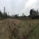 Parcela agrícola San Luis