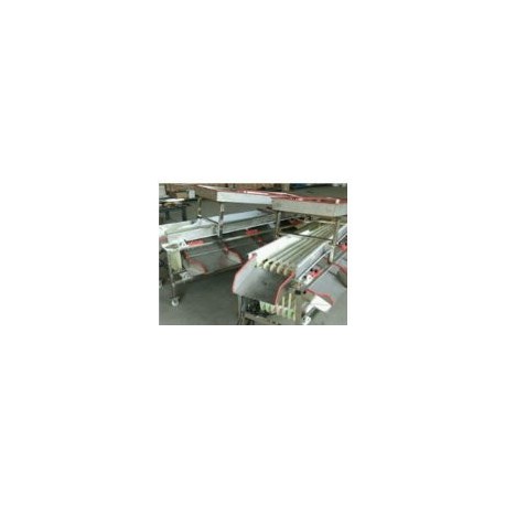 Calibradora de frutas tamanos 2-4cm 5 seleccion