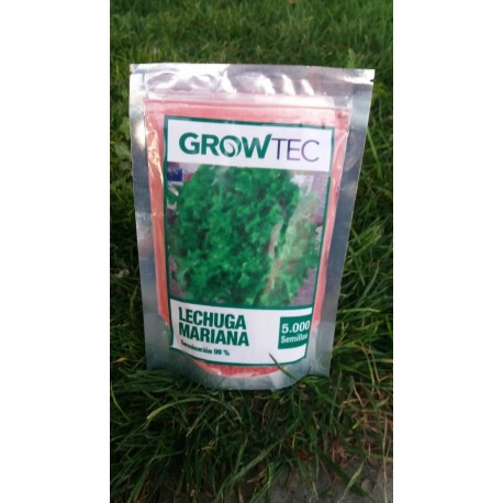 Lechuga Mariana