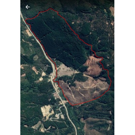 Imagen tomada desde Google Earth correspondiente a la zona ubicada.