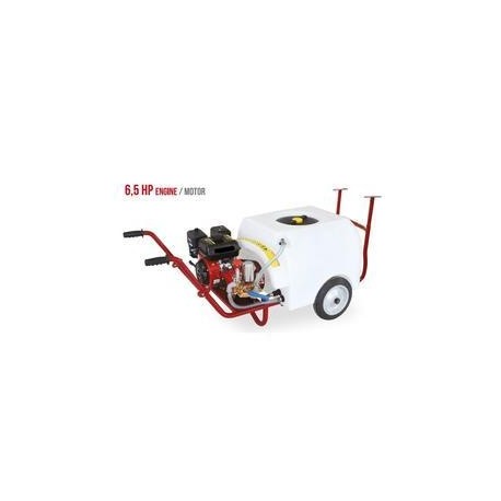 Carro Fumigador pulverizador 6.5Hp 200L 