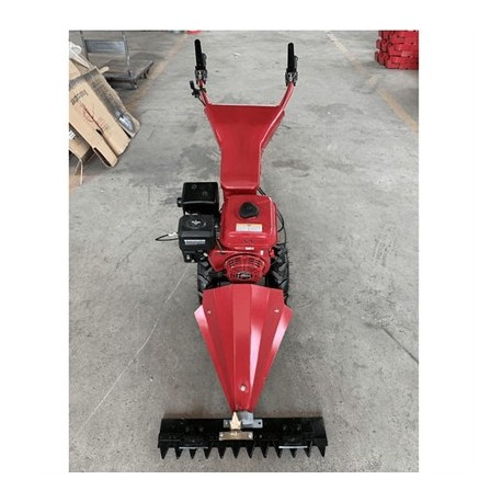 Motosegadora