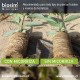 DIFERENCIAS DE RAICES DE PLANTAS DE PALTOS. CON Y SIN MICORRIZAS