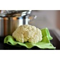 Coliflor