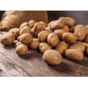 Papas