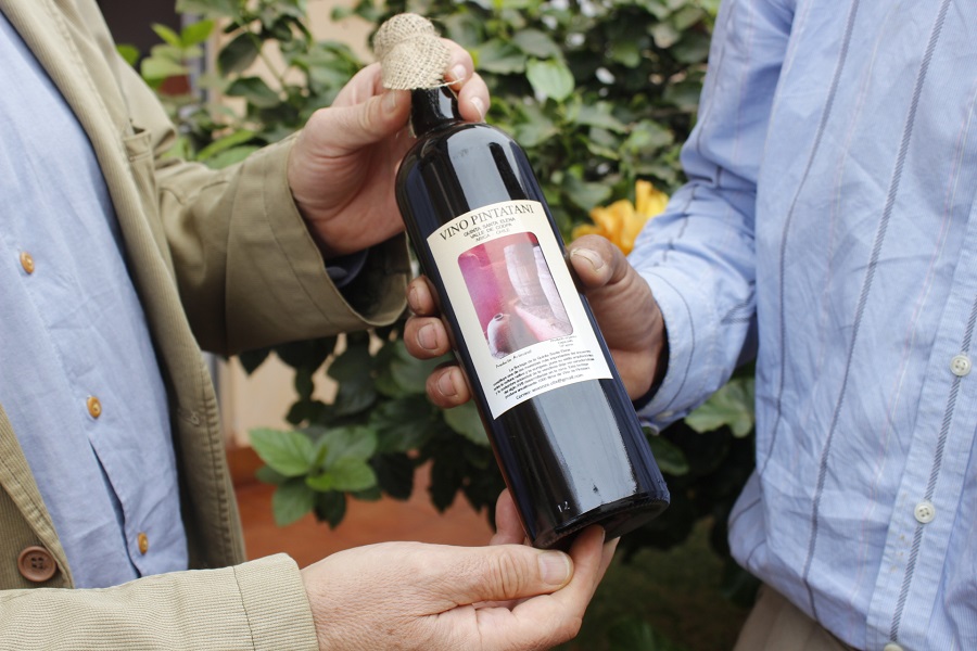 Patrimonio histórico del vino Pintatani protagoniza Fiesta de la Vendimia 2018 en Camarones 