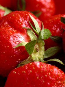 España: variedad de frutilla que no requiere de polinizadores comerciales