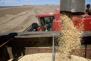 China elimina arancel a la soya de países vecinos en medio de guerra comercial