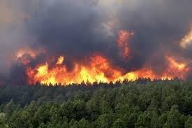 Ministro Walker anuncia que delegación irá a EEUU para conocer el modelo de combate de incendios de los californianos