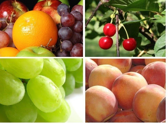 Chile: Principal proveedor de frutas frescas de Bolivia