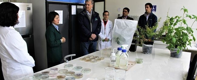Director ejecutivo de FIA destacó a INIA Quilamapu como referente mundial en Control Biológico