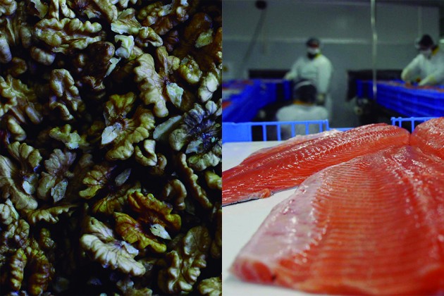 Frutos secos en China y salmones en EEUU: los exportadores chilenos que ganan con la guerra comercial