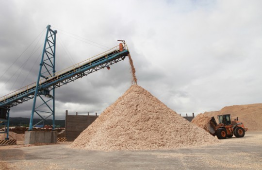 Exportaciones forestales a septiembre muestran tendencia a superar récord de 2014