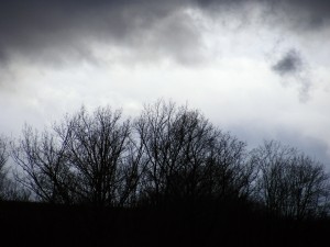 Prevén lluvias para esta primavera en la zona central del país