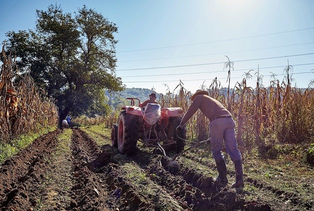 La agricultura mundial dispone de un nuevo instrumento para la adaptación efectiva al cambio climático